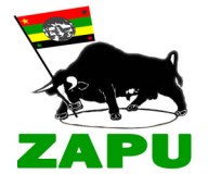 ZAPU in Government